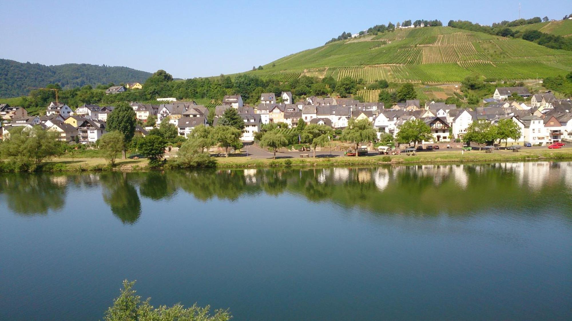 Apartmán Mosel View Zell an der Mosel Pokoj fotografie