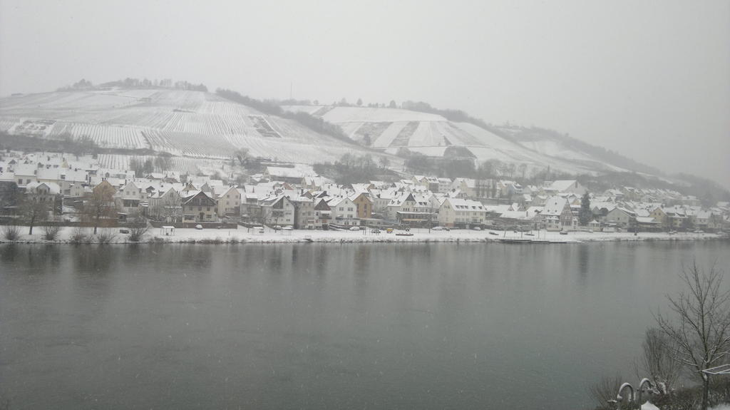 Apartmán Mosel View Zell an der Mosel Exteriér fotografie